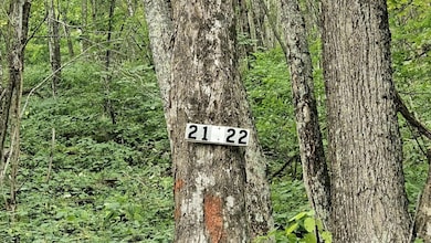 0 Lot 22 Eagles Nest unit 25-854, Snowshoe, WV 26209 - photo 4