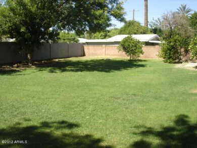 Back Yard A