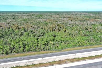 Alligator Alley, Naples, FL 34117 - photo 5