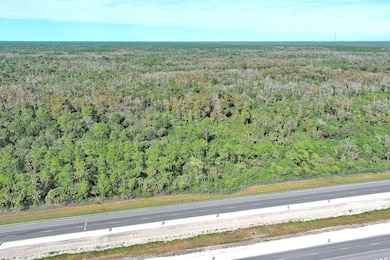 Alligator Aly, Naples, FL 34117 - photo 5