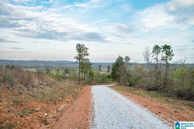 4947 U S 231 unit 3, Vincent, AL 35178 - photo 2