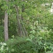 3 Bradford Ln, Harrodsburg, KY 40330 - photo 4