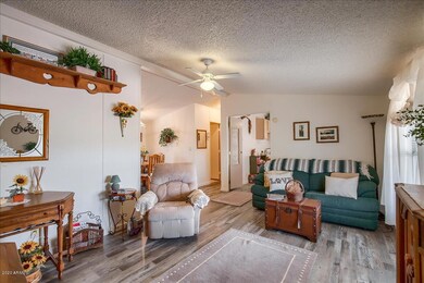 Family Room (2)
