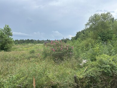 29913 Waller Spring Creek Rd, Waller, TX 77484 - photo 6