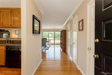 12415 Shore View Dr, Henrico, VA 23233 - photo 3