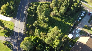0 Ainakula Rd unit Lot 9-B 394853, Kula, HI 96790 - photo 4