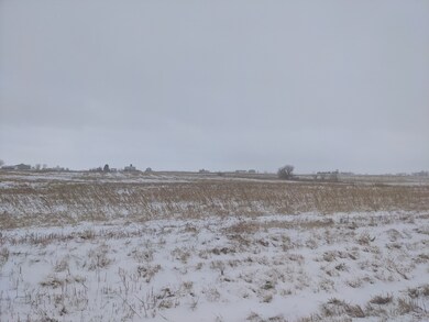 31346 S Klemme Rd, Beecher, IL 60401 - photo 2