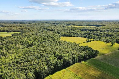108-18270-4-Mile-Rd-Morley-MI-49336-Wind