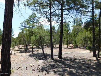 3436 Ponderosa Loop (3)