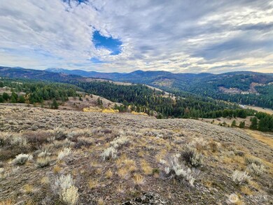 48 Oleander Rd, Republic, WA 99166 - photo 4