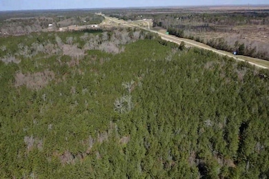 Tbd Hwy 112, Forest Hill, LA 71430 - photo 2