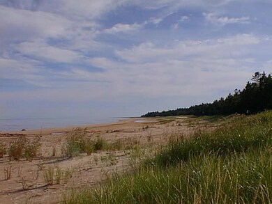beach weeds