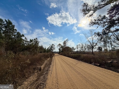 0 Herrington Rd, Baxley, GA 31513 - photo 3