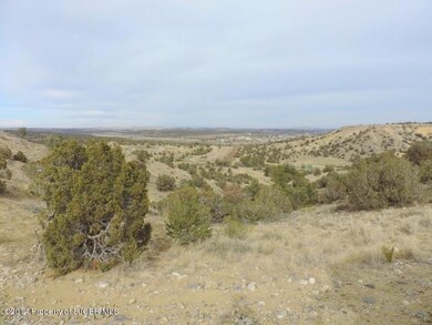 NYA New Mexico 516, Farmington, NM 87401 - photo 7