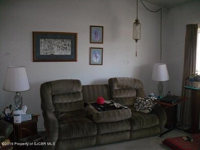 303 La Belle Ave, Farmington, NM 87401 - photo 4