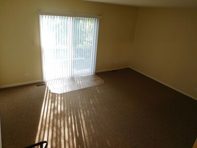 17651 Pheasant Ln, Country Club Hills, IL 60478 - photo 3