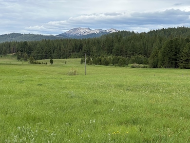 TBD Nasi Ln, Donnelly, ID 83615 - photo 4