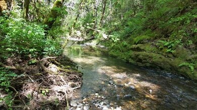 1125 Dutcher Creek Rd, Grants Pass, OR 97527 - photo 6
