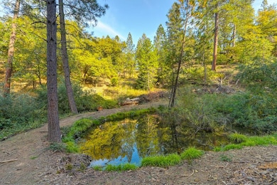 26355 Barb Wire Ln, Colfax, CA 95713 - photo 4