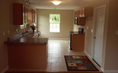 7410 Zach Ln, Corryton, TN 37721 - photo 6