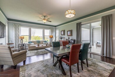 kittansettkit6 (1 of 1)