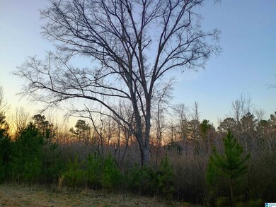 00 Comerdale Rd, Sylacauga, AL 35150 - photo 4