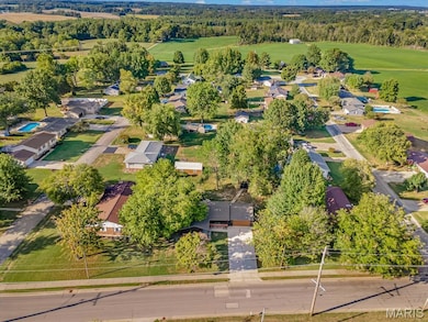 1105 W Shawneetown Trail, Steeleville, IL 62288 - photo 4