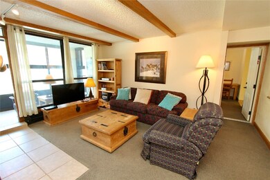 Mountain Plaza unit 426, Copper Mountain, CO 80443 - photo 3