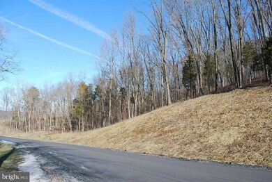 3 Timberland Manor Dr, Bentonville, VA 22610 - photo 4