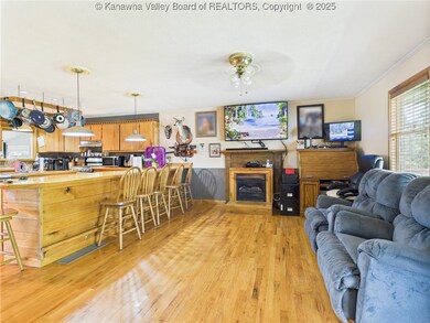 268 Mountain View Dr, Big Springs, WV 26137 - photo 6