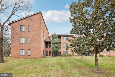 15310 Pine Orchard Dr unit 84-1B, Silver Spring, MD 20906 - photo 4