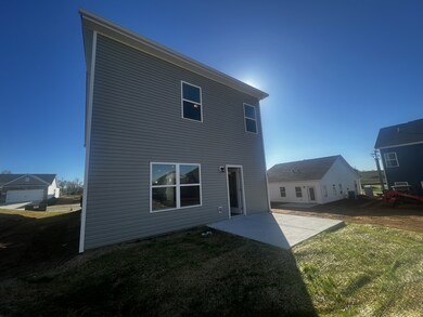 103 Dawson St, Shelbyville, TN 37160 - photo 3