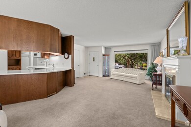 View from dining area