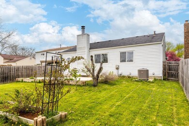 Back of house and garden boxes