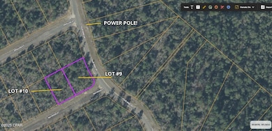 LOT 9 Maywood St, Chipley, FL 32428 - photo 3