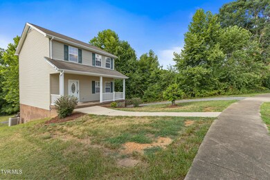 1054 Snowden Terrace, Johnson City, TN 37601 - photo 6