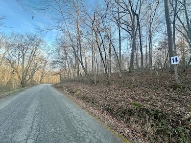 Lot 14 Hensley Rd, East Bernstadt, KY 40729 - photo 3