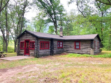 232 W Lincoln St, Brohman, MI 49312 - photo 4