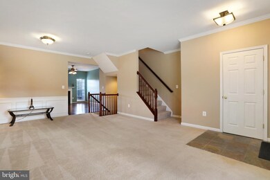191 Oxbow Dr, Strasburg, VA 22657 - photo 5