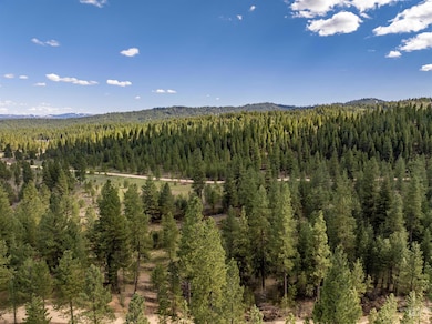 Lot 10 Star Creek Ct, Placerville, ID 83631 - photo 3