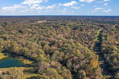DJI_0338 (1)