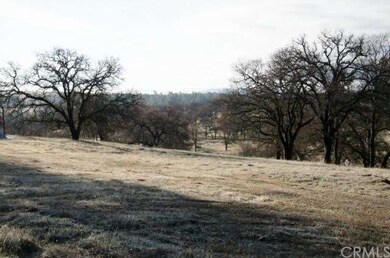 Oak forest and rolling terrain.