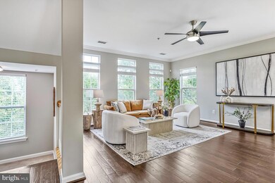 341 Cross Green St unit B, Gaithersburg, MD 20878 - photo 4