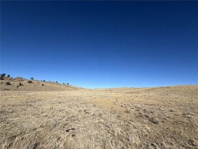 2665 Caddo Rd, Hartsel, CO 80449 - photo 4