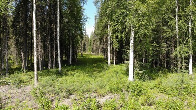 Stone Hollow Estates L18 6