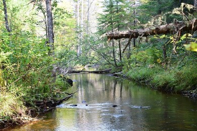Cool trout filled waters