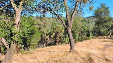 0 7 1 Ac Fieldbrook Estates Dr unit 16-3404, Redding, CA 96003 - photo 6