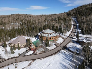 117 E Steam Engine unit 11b, Brian Head, UT 84719 - photo 6