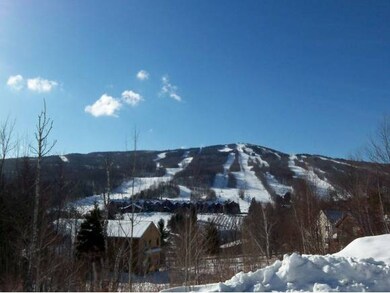 B Pinnacle View Dr unit B, Dover, VT 05356 - photo 2