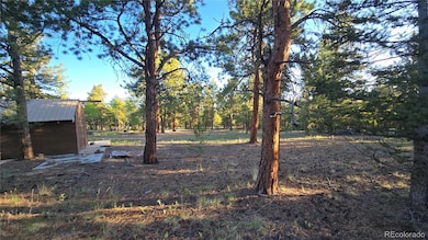 0 Chubb Ct unit 16 REC7856503, Buena Vista, CO 81211 - photo 5